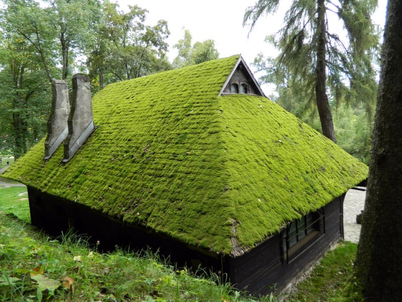 Плюси та мінуси «зеленого» даху